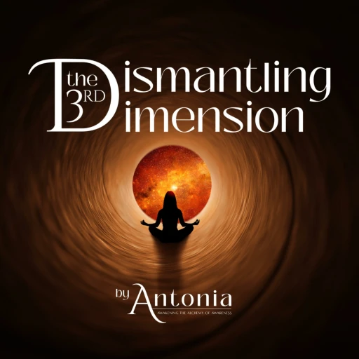 Dismantling the 3rd Dimension: The Journey out of the Tribe and into the Collective