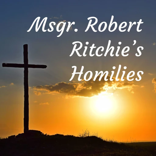 Msgr. Robert Ritchie’s Homilies & more