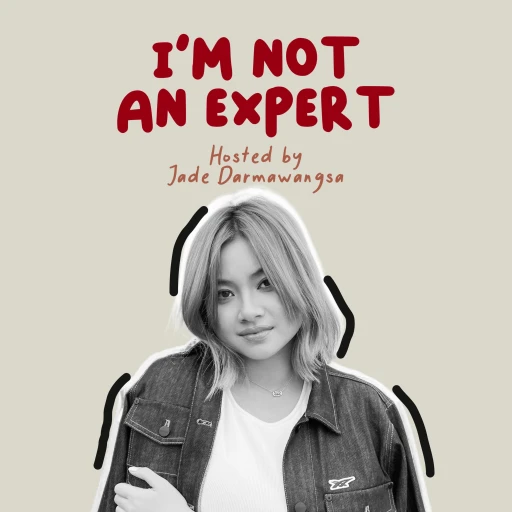 I’m Not An Expert