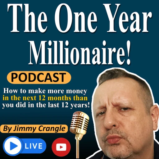 The One Year Millionaire