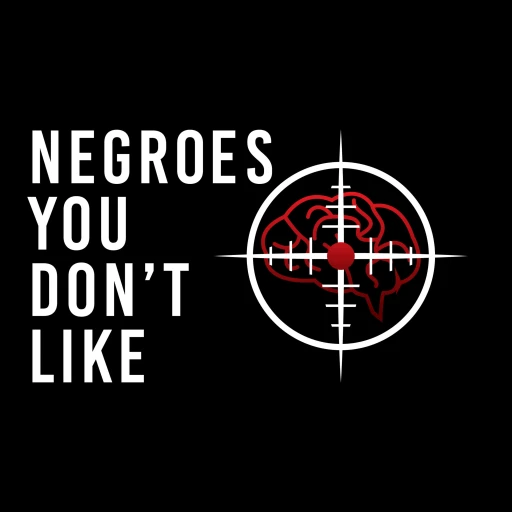 Negroes You Don’t Like