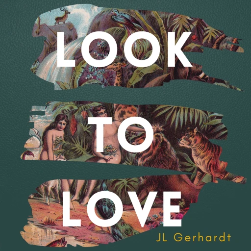 Look to Love: A Better Way to Read the Bible