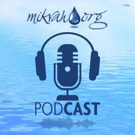 Mikvah.org