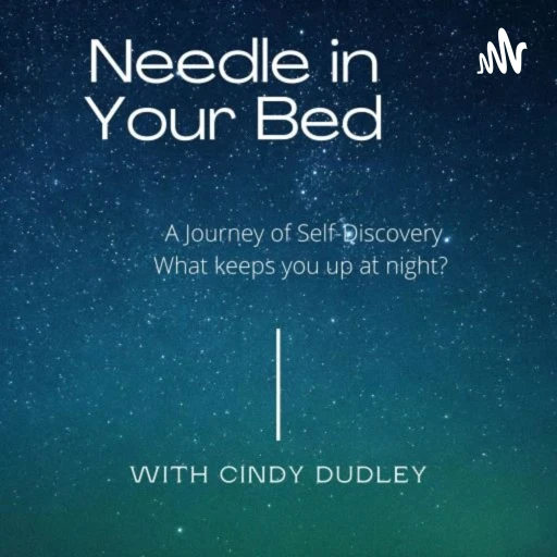 Needle in Your Bed