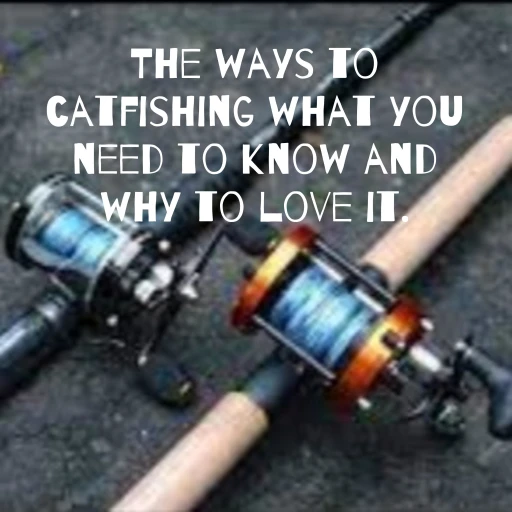 The ways to catfishing what you need to know and why to love it.