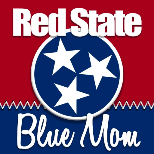 Red State Blue Mom