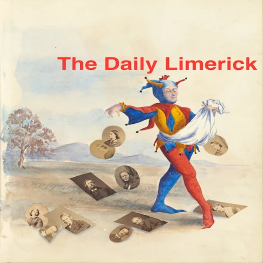 The Daily Limerick