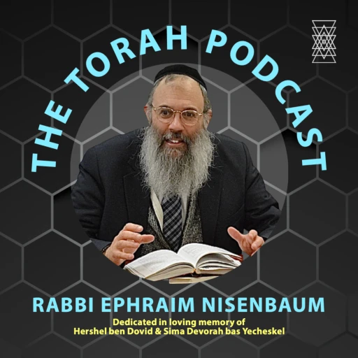 Torah Podcast by Rabbi Nisenbaum