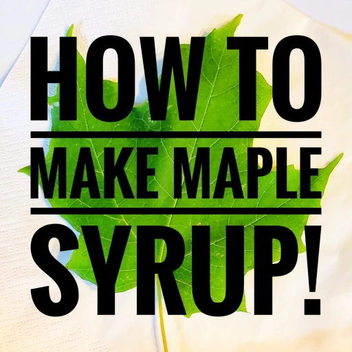 How to Make Maple Syrup!