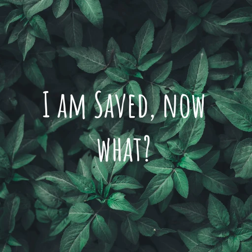 I am Saved, now what?