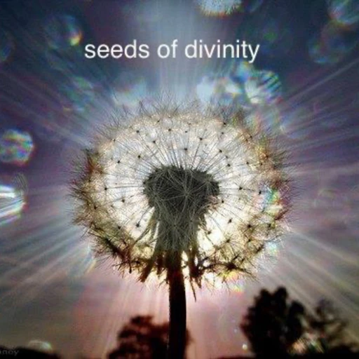 Seeds of Divinity