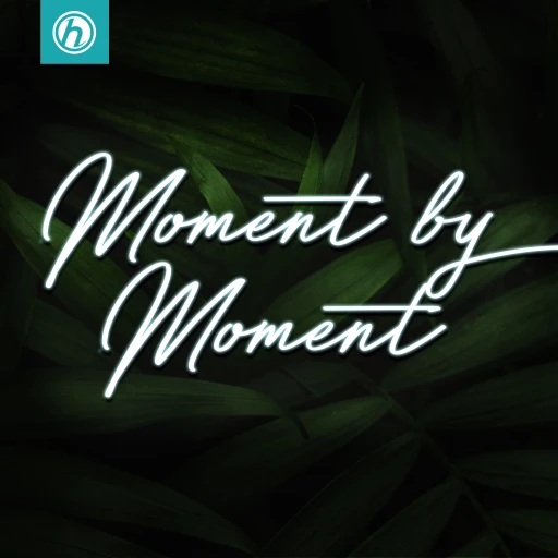 Moment by Moment