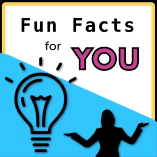 Fun Facts For You