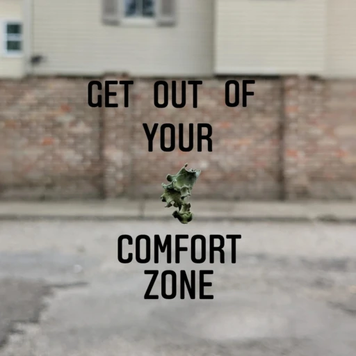 Get Out of Your Comfort Zone