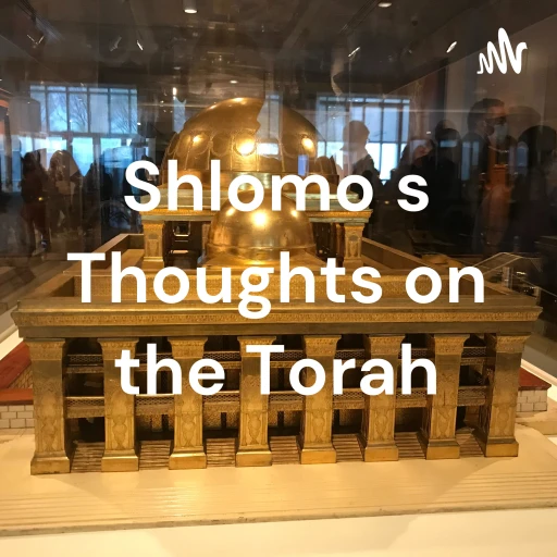 Shlomo’s Thoughts on the Torah