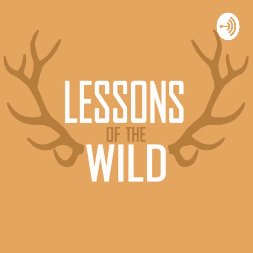 Lessons of the Wild