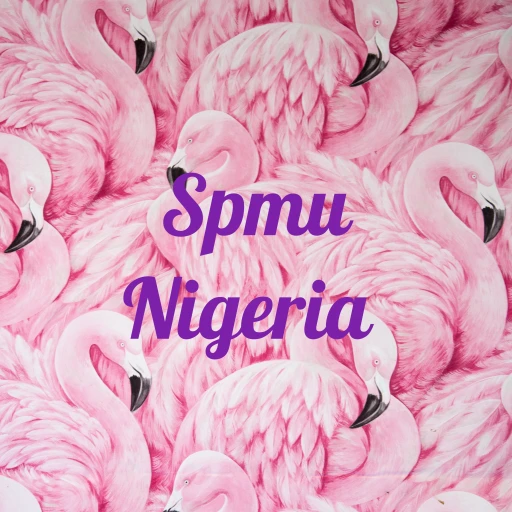 Spmu Nigeria