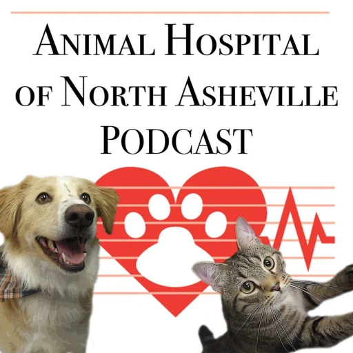 Animal Hospital of North Asheville Podcast