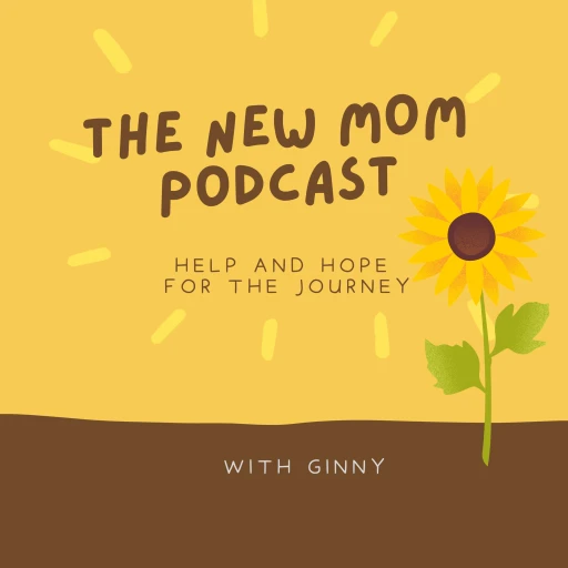 The New Mom Podcast