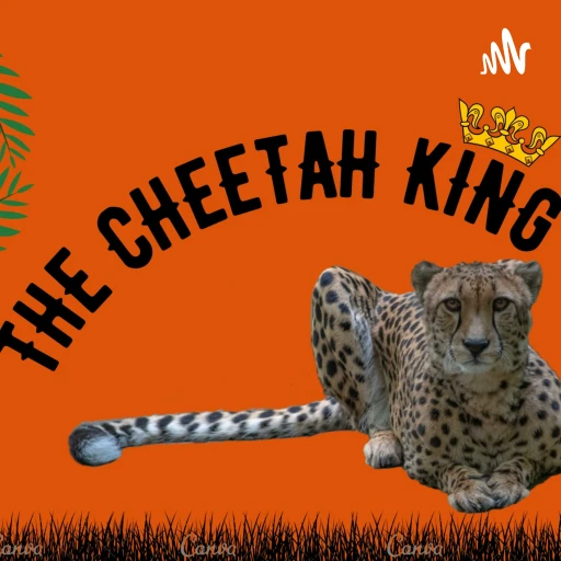 The Cheetah King sends his tribe for India