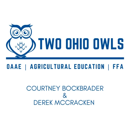 Two Ohio Owls