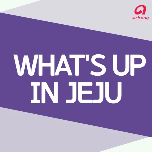 What’s up in Jeju