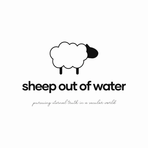 Sheep Out of Water