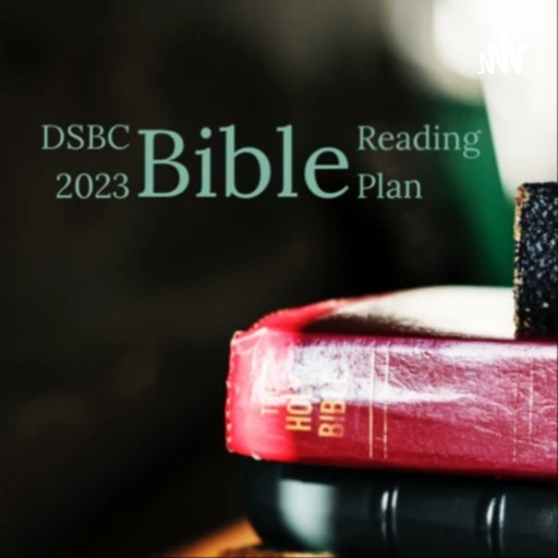 DSBC 2023 Reading the Bible in a Year