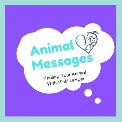 Animal Messages