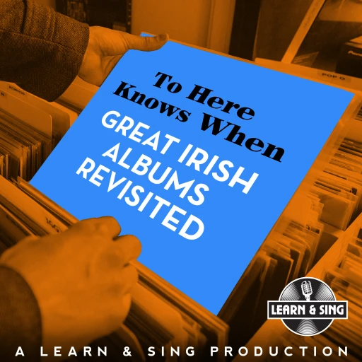 To Here Knows When – Great Irish Albums Revisited