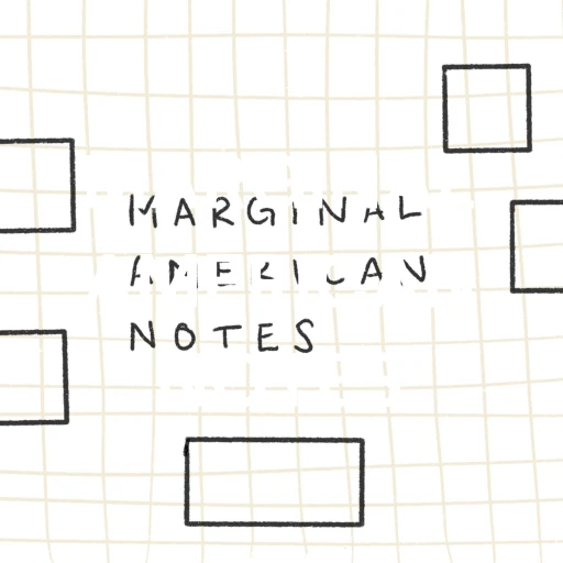 MARGINAL AMERICAN NOTES