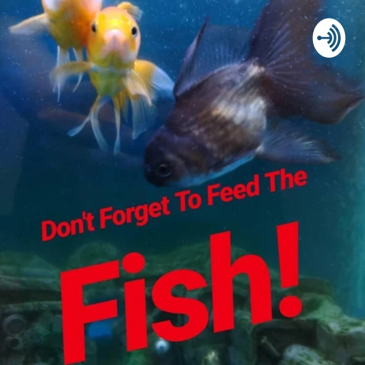 Don’t Forget To Feed The Fish!