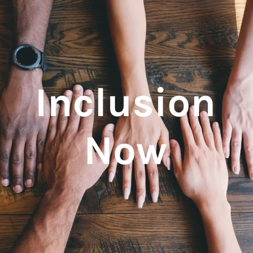 Inclusion Now