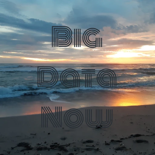 Big Data Now!