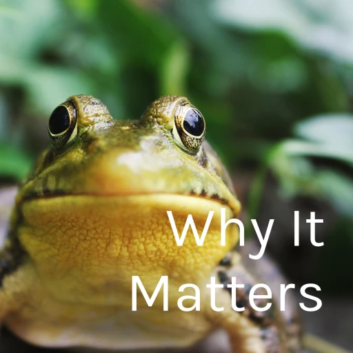 Why It Matters