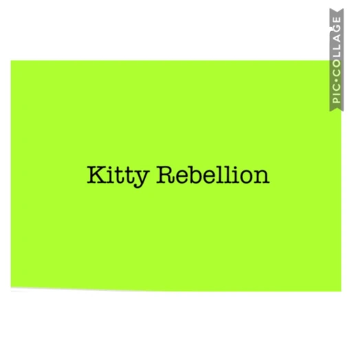 Kitty Rebellion: Out of the bag.