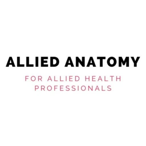 The Allied Anatomy Podcast