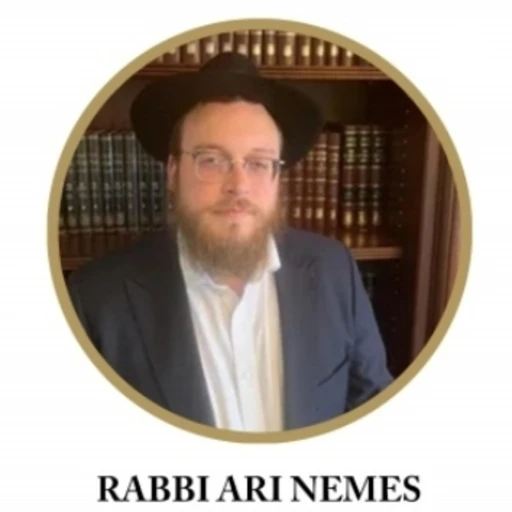 Daily Rambam By Rabbi Ari Nemes – 1 Chapter a day