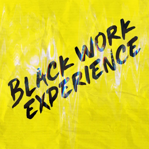 Black Work Experience