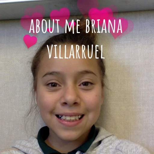 about me briana villarruel