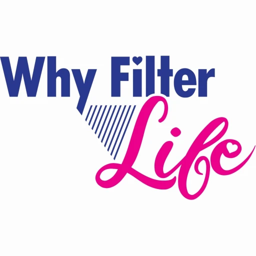 Why Filter Life: Threads that Bind Life Experiences