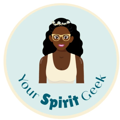 Your Spirit Geek : Trust The Wisdom That Brought You Here