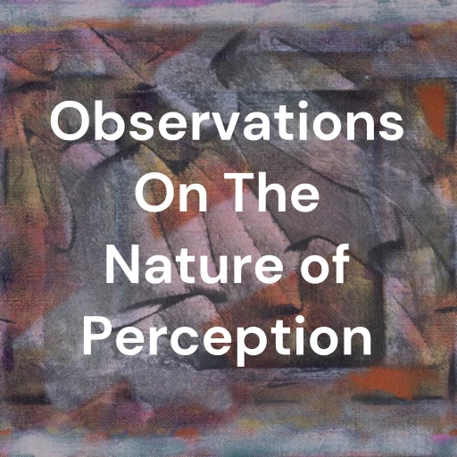 Observations On The Nature of Perception