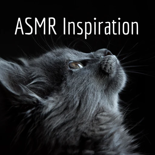 ASMR Inspiration