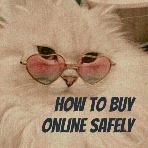 HOW TO BUY ONLINE SAFELY