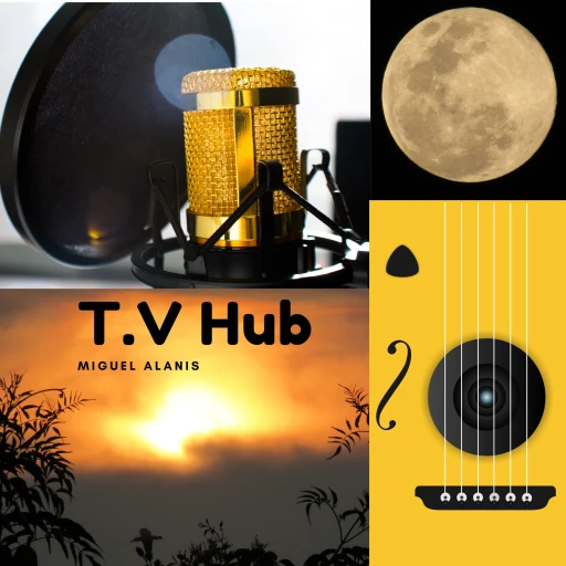 The T.V Hub