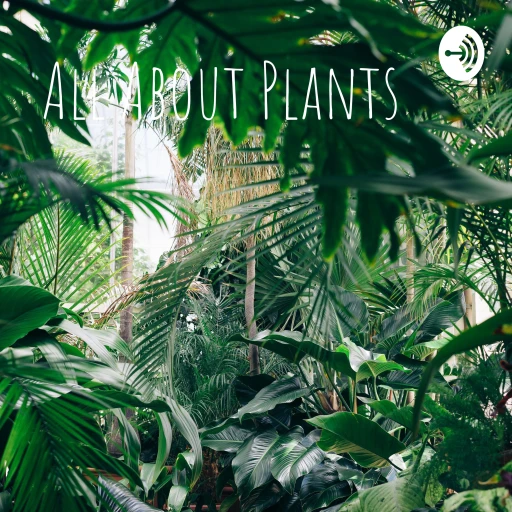 All About Plants