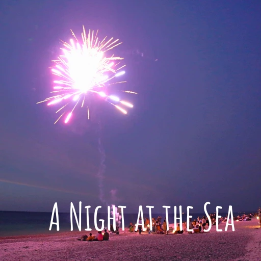 A Night at the Sea