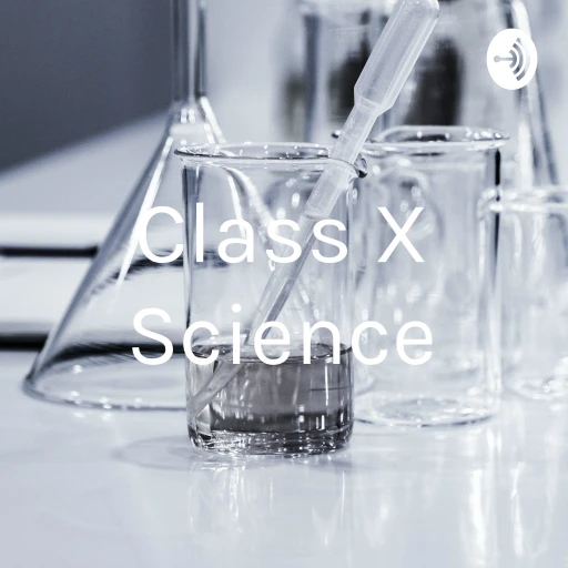 Class X Science