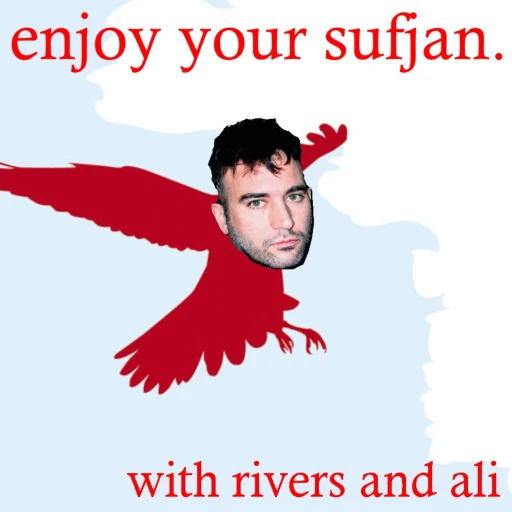 Enjoy Your Sufjan